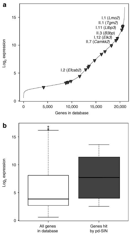 Promoter Deprived Retroviral Self Inactivating Pd Sin Preferentially