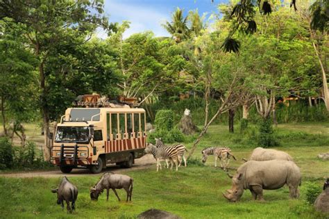 3 Reasons Why Bali Safari Park Is A Child Friendly Park