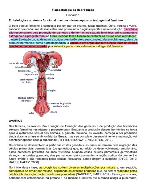 Fisiopatologia da Reprodução Animal | PDF | Testículo | Sexo