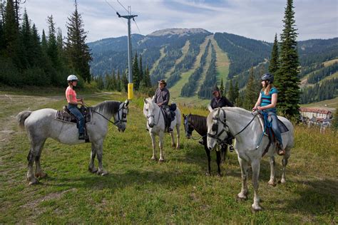 5 Family-Friendly Summer Activities at Sun Peaks Resort - Idyllic Pursuit