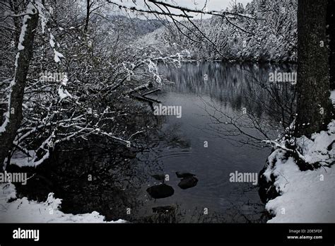 Winter Landscape With Snow Covered Trees Around Longemer Lakeside