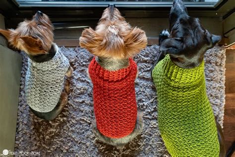 Easy Crochet Dog Sweater for Large, X Large, and XX Large Dogs