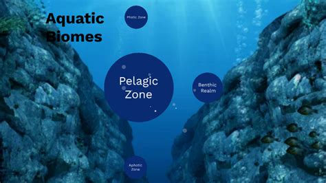 Aquatic Biomes by Alex V on Prezi