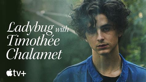 Timothe Chalamet Le Ruega A Apple Que Lo Llame En El Ltimo Anuncio De