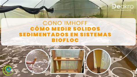 Como Medir S Lidos Sedimentables En Sistemas Biofloc Con El Cono Imhoff