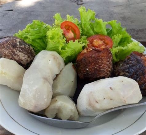 Keladi Makanan Khas Papua