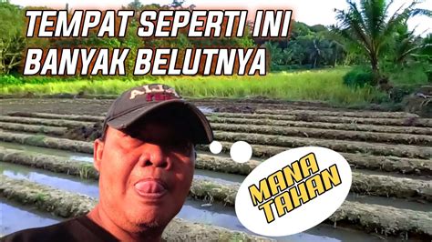 Mancing Spot Belut Banyak Babonnya Mancing Ikan Youtube