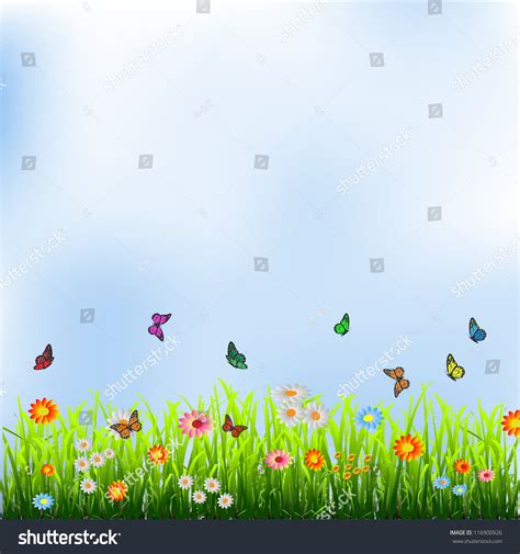 Green Grass Flowers And Butterflies Vector Illustration 116900926