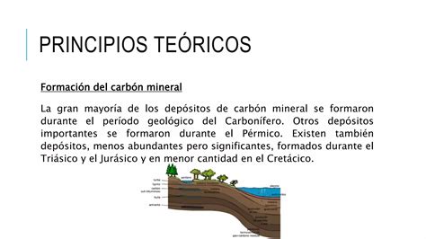 Determinaci N Del Poder Calor Fico De Carbones Pptx