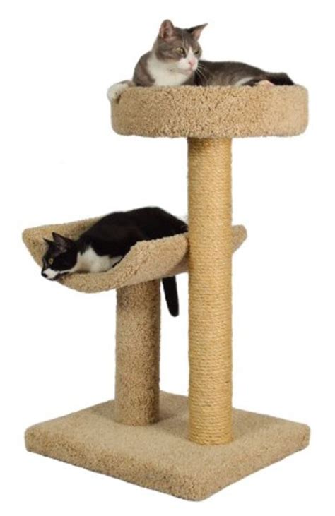 Best Cat Trees For Large Cats A Listly List