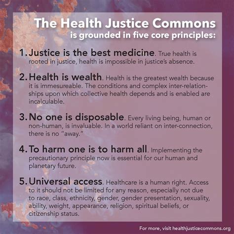 Health Justice Principles — Hjc