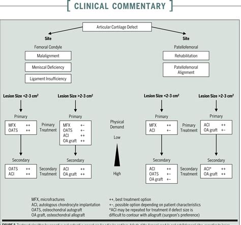 Figure 2 From Basic Science And Surgical Treatment Options For