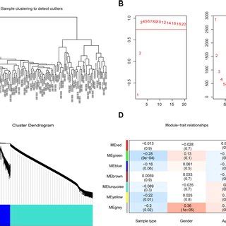 The Results Of Wgcna Analysis A The Schematic Diagram Of Clustering Of