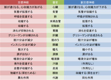 【医師が解説】自律神経失調症の症状・診断・治療 田町三田こころみクリニック 内科・心療内科・糖尿病内科【初診予約 】｜田町駅徒歩1分の駅近