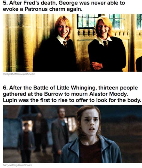 Dont Know If Its True But Neat Harry Potter Facts Harry Potter