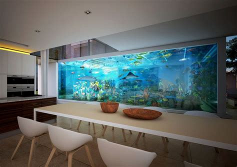 AQUARIUM CONCEPTS AND DESIGN IDEAS RedFin Aquarium Design Wall