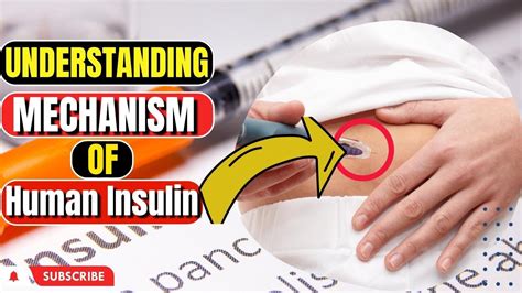 Understanding The Mechanism Of Action Of Human Insulin Youtube