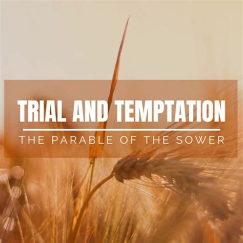 Stream Trial And Temptation The Parable Of The Sower By Pierce Point