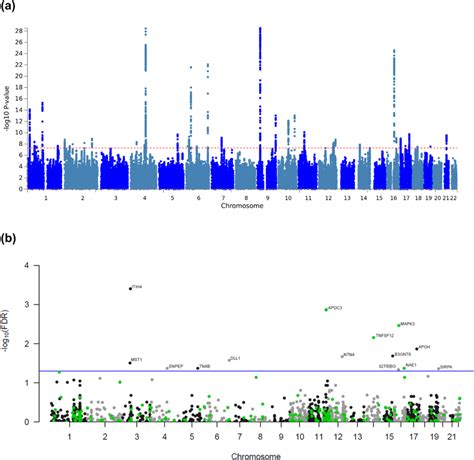 Manhattan Plots Showing Associations With HF From A GWAS Meta Analysis