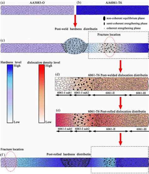 Schematic Diagram Of Microstructure Evolution During The Gradient