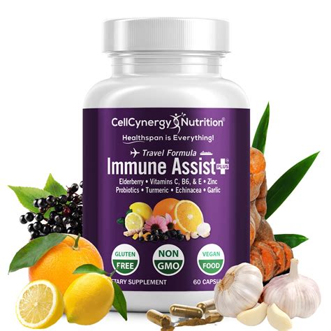 Immune Assist Immune Support Supplement With 10 Ingredients Travel Formula To Boost Your