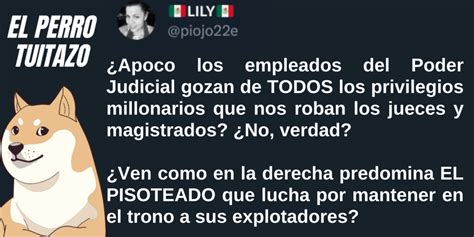 El Perro Tuitazo Trabajadores Del Pjf Salen A Defender A Sus Jefes