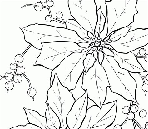Free Christmas Poinsettia Pictures Download Free Christmas Poinsettia