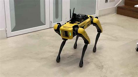 Una Ma Ana Con Spot El Perro Robot De Boston Dynamics Que Vigila Y