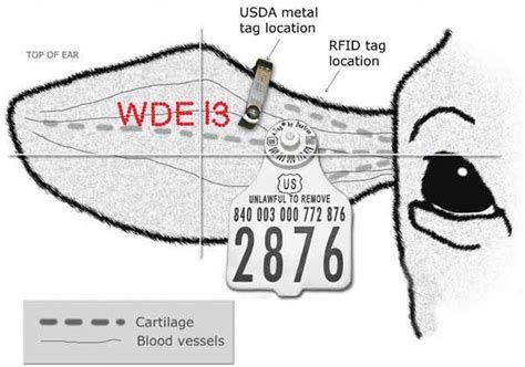 Having Proper Identification On My Herd Will Be Important So I Am Able