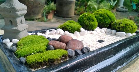 Jardin Japonais Miniature Un Projet Diy Pour Se Concentrer Sur La