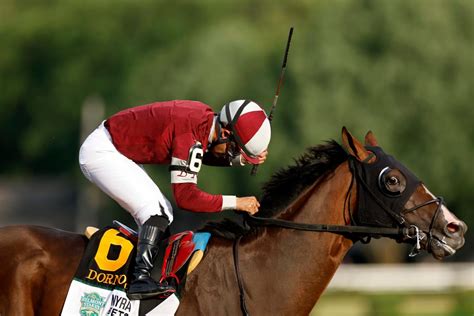 Backing the right horse: Dornoch, partly-owned by Georgia ownership ...