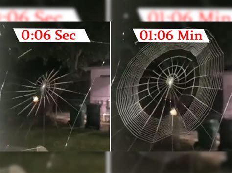 Spider Weaves Its Web At Machine Speed Ultimate Video Captured In The Camera मकड़ी की रफ्तार