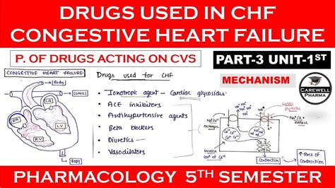 Drugs Used In Congestive Heart Failure CHF Part 3 Unit 1