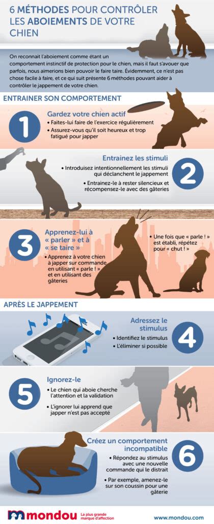 Comment Faire Taire Votre Chien Dans Le Jardin Astuces Et Solutions