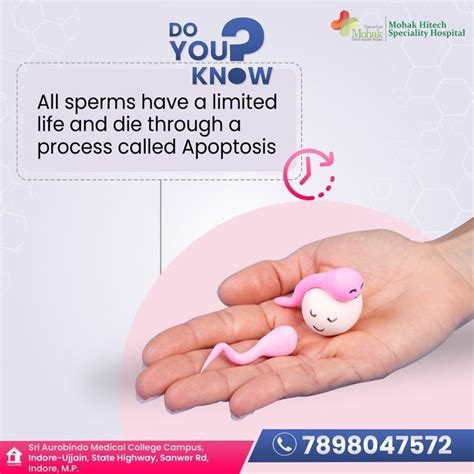 Tips For Ivf Artofit