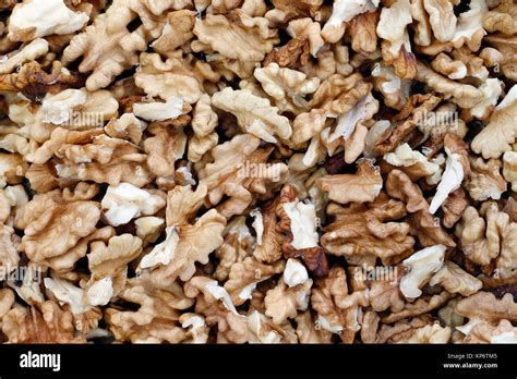 Kernels Of Nuts The Source Of Vitamins And Minerals Stock Photo Alamy