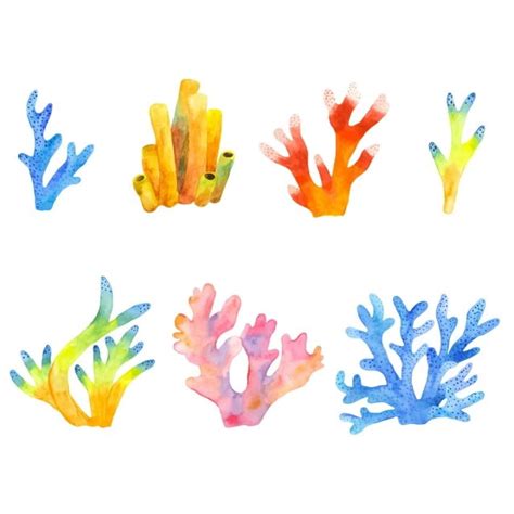 Coral Aquarium Clipart