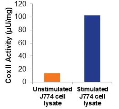 Abcam Cyclooxygenase Cox Activity Assay Kit Fluorometric 100test