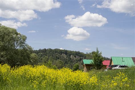 Spring Bashkiria A Field Of Yellow - Free photo on Pixabay - Pixabay