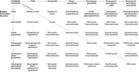 Chart Of Cousins Imgur