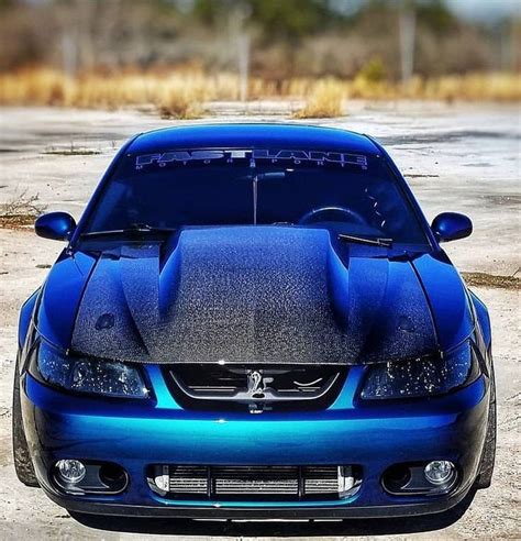 New Edge Mustang Drag Car 7 Second Renegade 50 Mustang And Super