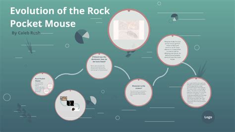 Evolution of the Rock Pocket Mouse by Caleb Rush on Prezi