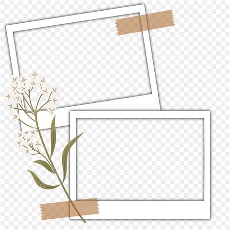 Polaroid Tape PNG Image Wide Polaroid Frame Dry Flowers Brown Tape