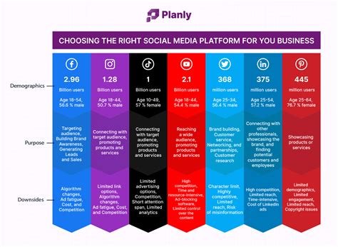 Best Social Media Platforms For Business 2024 Nani Pollyanna