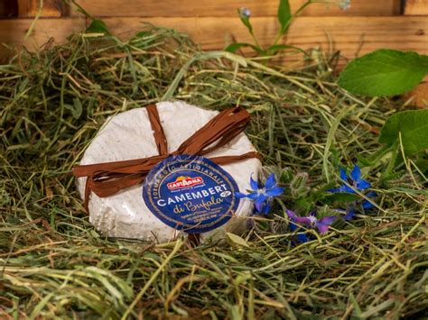 Camembert Di Bufala Castagna Vivande De Italienische Delikatessen