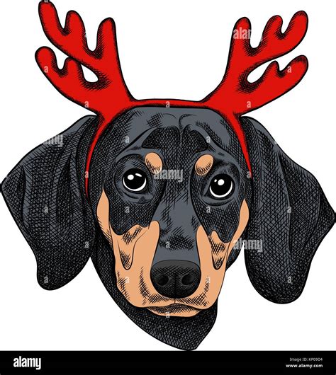 Vector Illustration Of A Dachshund Dog For A Christmas Card Dachshund