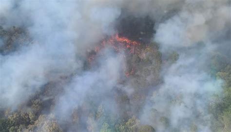 Registra México 81 Incendios Forestales Activos En Ola De Calor Posta