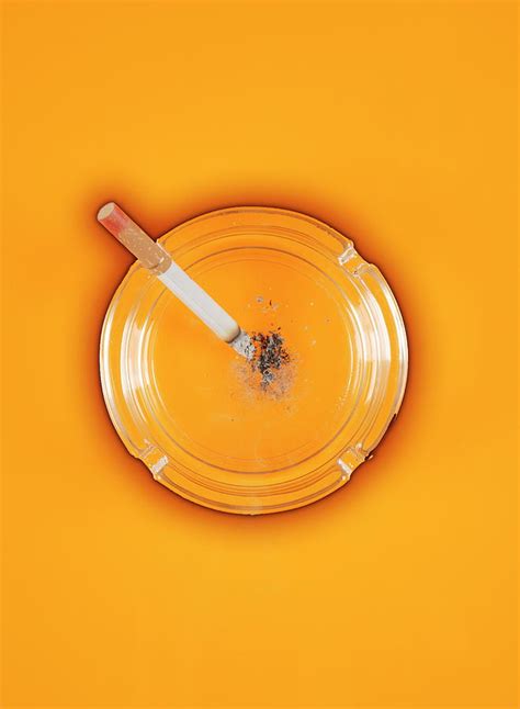 Cigarette In An Ashtray Photograph By Mark Sykesscience Photo Library