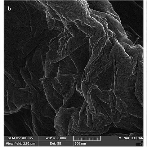 The Sem Images Of Bare Gce A Ergo Gce B And Mip Ergo Gce C