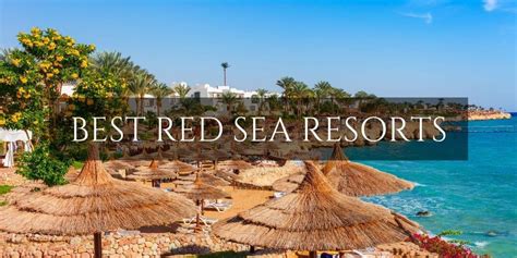 Stunning Red Sea Resorts in Egypt For Family Vacations • Family Travel ...